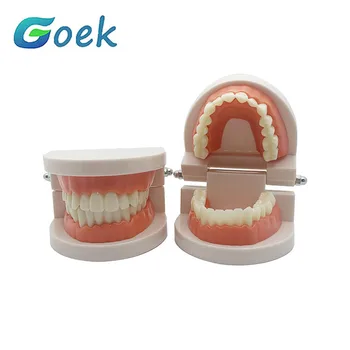 2vnt/komplektas Dantų Modelio dirbtiniai Dantys Odontologijos išimamų Protezų, Dantų Dovanos Atsargos Priemonė Praktikos Įrodymas